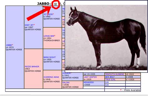 all breed pedigree|horse pedigree website.